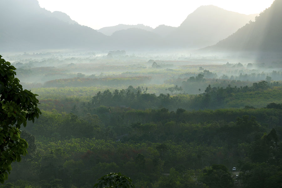 Morning mist in the Kong Ra area of Phattalung