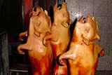 Roasted suckling pigs, Hat Yai - Click for larger image