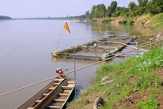 The Mekong in North-Eastern Thailand forms part of the border between Thailand and Laos