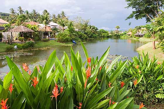Residential villa estate in Surin, Phuket