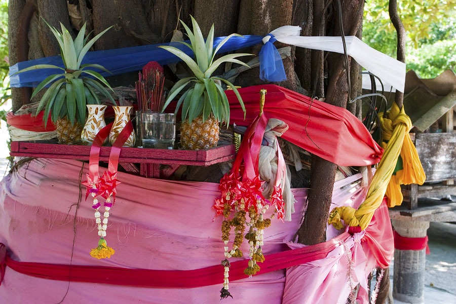 Offerings for the tree spirit