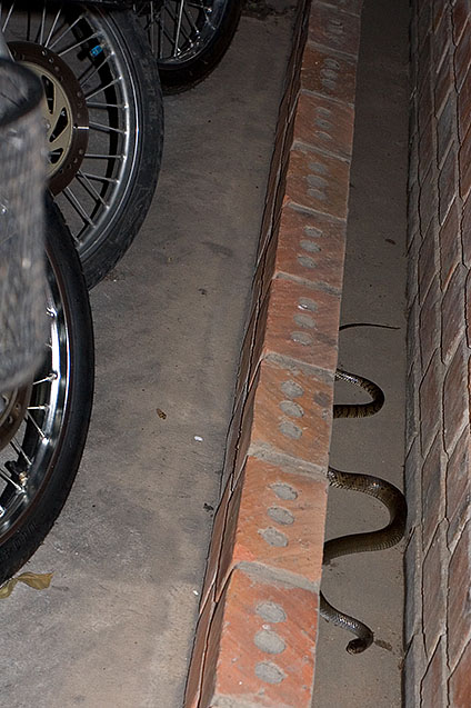 The car park area of my old apartment building a few years ago