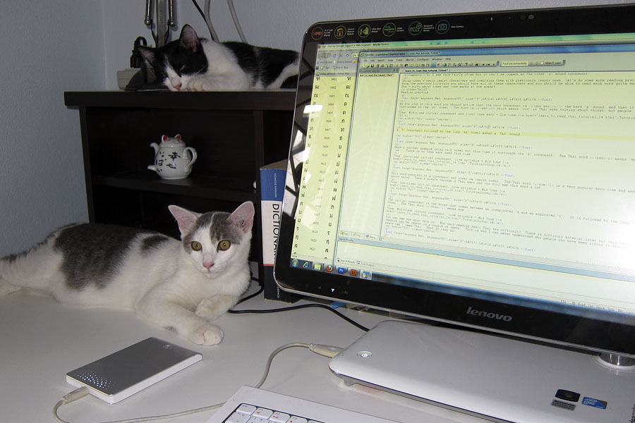 My mouse has a USB connection; my cats don't