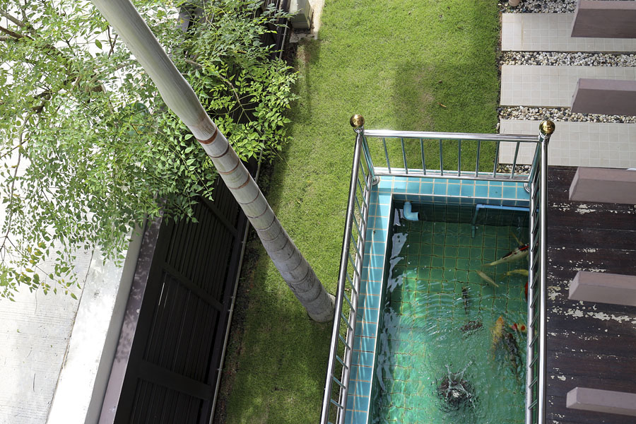 My new lawn