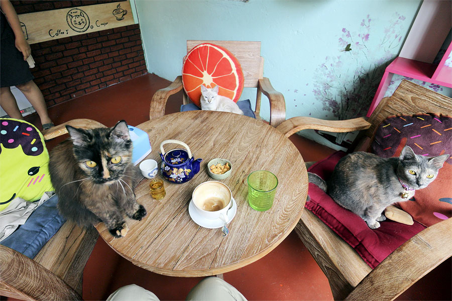 My Friday afternoon coffee shop