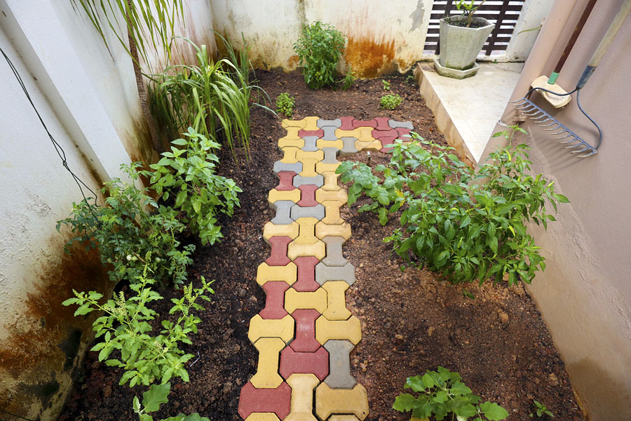 Kitchen garden