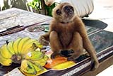 My new friend - Click for larger image