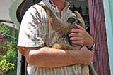 My new friend - Click for larger image