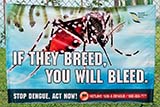 Dengue fever warning in Singapore - Click for larger image