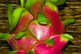 Dragon fruit - Click for larger image