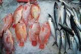 Fish at a Thai fresh market - Click for larger image
