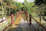 Flooded walkway - Click for larger image