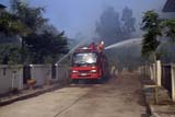 Forest fire - Click for larger image