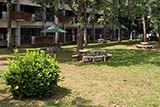 Where I sit down for some fresh fruit - Click for larger image