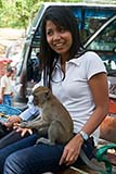 Girl and monkey - Click for larger image