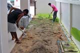 Preparing the ground - Click for larger image