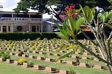 War graves in Kanchanaburi - Click for larger image