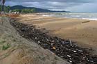 The once spotless beach is now full of debris - Click for larger image