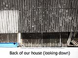 Shack at the back of our house - Click for larger image