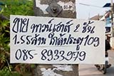 Taaw hao - Click for larger image