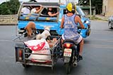 Typical Thai road scene - Click for larger image